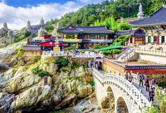 Exploring the Vibrant Entertainment Scene in Busan: A Delightful Journey